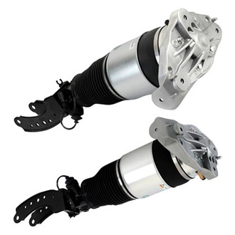 Arnott® - Front Strut Set