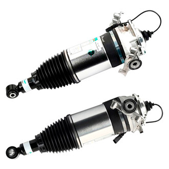Arnott® - Rear Strut Set