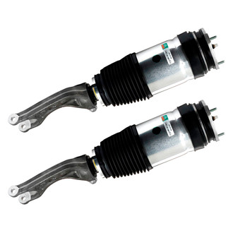 Arnott® - Air Strut
