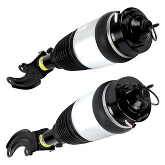 Arnott® - Front Strut Set