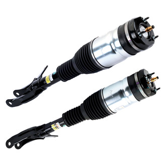 Arnott® - Front Strut Set