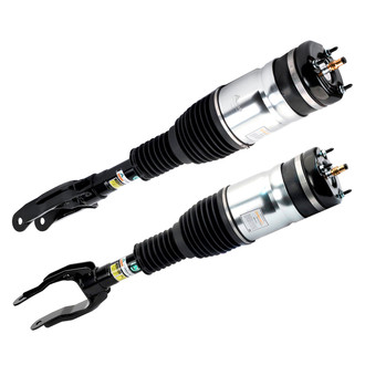 Arnott® - Front Strut Set