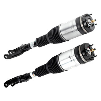 Arnott® - Front Strut Set