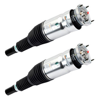 Arnott® - Front Strut Set