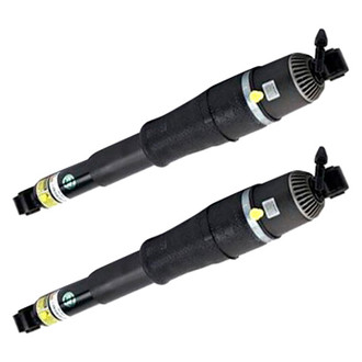 Arnott® - Rear Strut Set