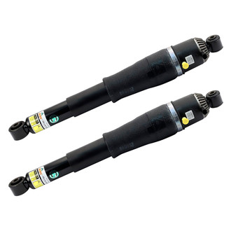 Arnott® - Rear Shock Absorber Set