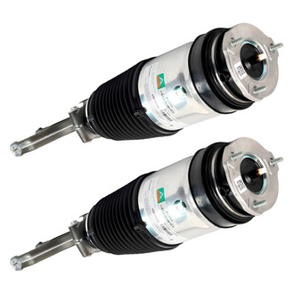 Arnott® - Front Strut Set