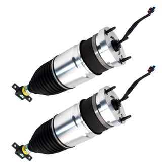 Arnott® - Front Strut Set