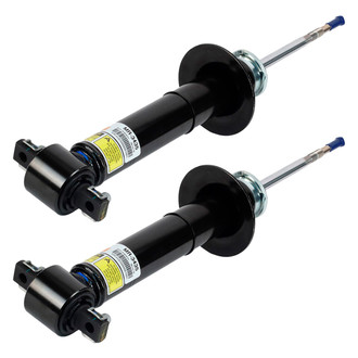 Arnott® - Front Shock Absorber Set