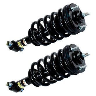 Arnott® - Front Strut Set