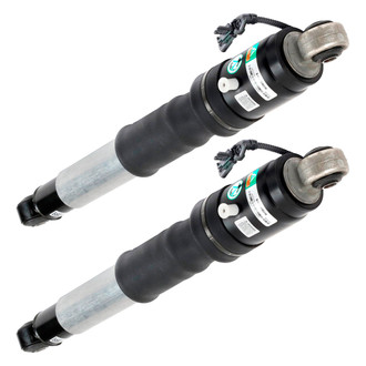 Arnott® - Rear Shock Absorber Set
