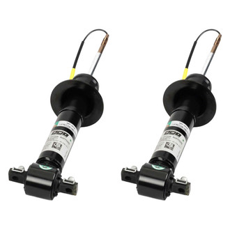 Arnott® - Front Shock Absorber Set
