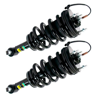 Arnott® - Front Strut Set