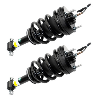 Arnott® - Front Strut Set