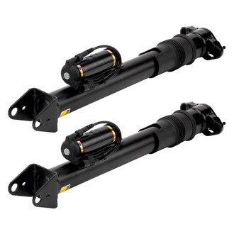 Arnott® - Rear Shock Absorber Set