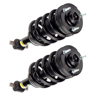 Arnott® - Front Strut Set