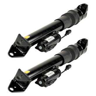 Arnott® - Rear Strut Set