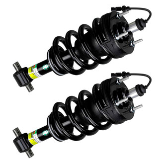 Arnott® - Front Strut Set