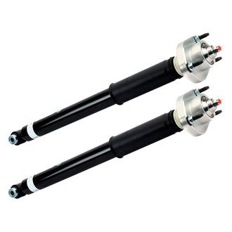 Arnott® - Rear Shock Absorber Set