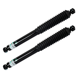 Arnott® - Rear Shock Absorber Set
