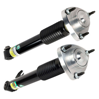 Arnott® - Rear Strut Set
