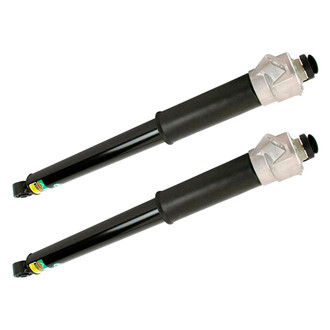 Arnott® - Rear Shock Absorber Set