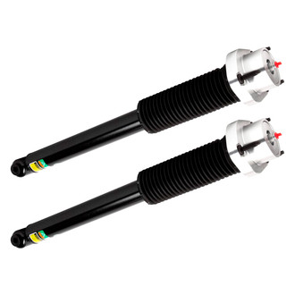 Arnott® - Rear Shock Absorber Set