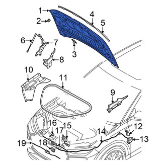 Audi OE - Front Hood Panel