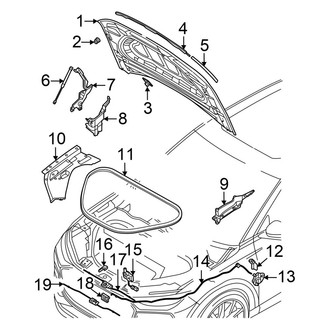 Audi OE - Hood & Components