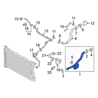 Audi OE - Lower Radiator Coolant Hose