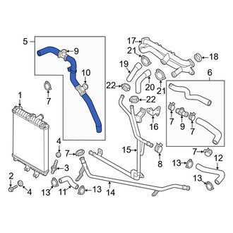 Audi OE - Right Upper Radiator Coolant Hose