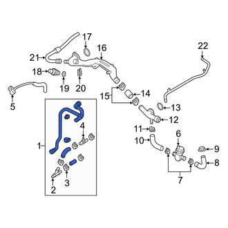 Audi OE - Left Radiator Coolant Hose