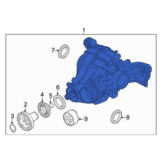 Audi OE - Rear Differential