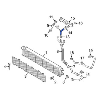 Audi OE - Lower Radiator Coolant Hose