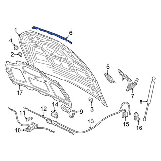Audi OE - Front Hood Seal