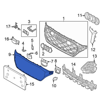 Audi OE - Front Grille Molding