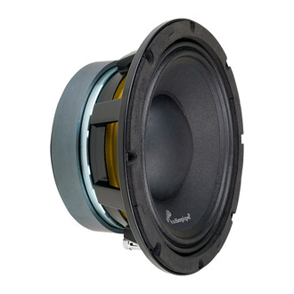 Audiopipe® - Low-Mid Frequency Loudspeaker