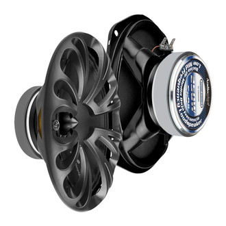 Audiopipe® - Low-Mid Frequency Loudspeaker
