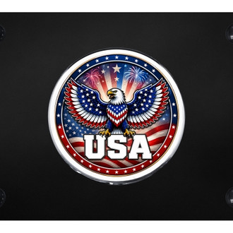 Autogold® - Black License Plate with 3D USA Eagle Logo