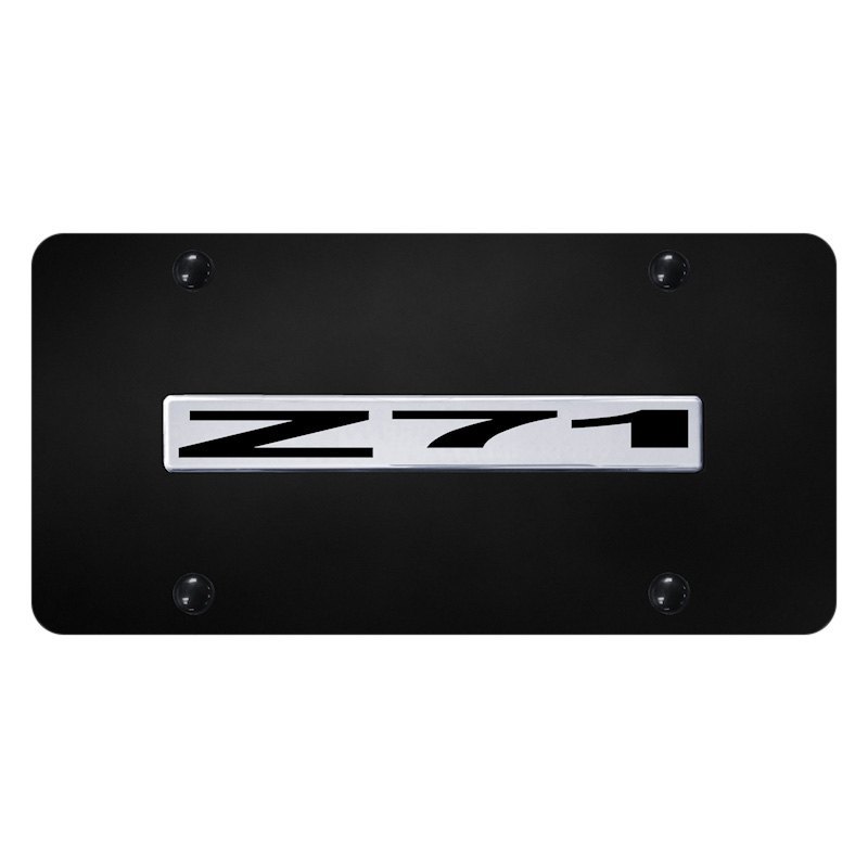 dts ロゴプレート デジタルサウンド dts ロゴプレート【希少】 - メルカリ