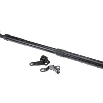 Autotecnica® - Driver Side Liftgate Lift Support