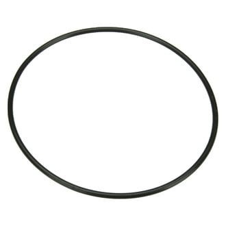 Autotecnica® - Fuel Pump Tank Seal