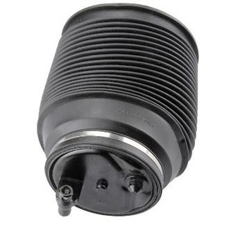 Autotecnica® - Rear Driver Side Air Strut Spring