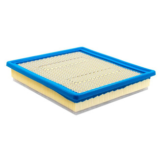 Baldwin Filters® - Radial Seal Air Filter