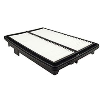 Baldwin Filters® - Air Filter Element