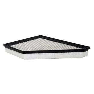 Baldwin Filters® - Radial Seal Air Filter