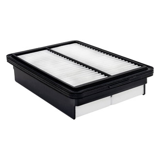 Baldwin Filters® - Radial Seal Air Filter