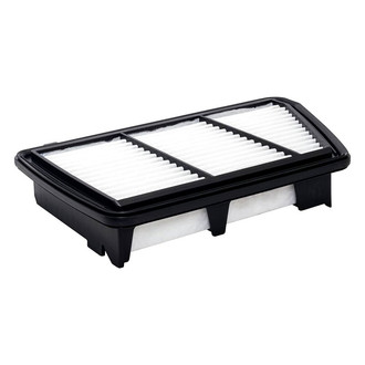 Baldwin Filters® - Radial Seal Air Filter