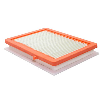Baldwin Filters® - Radial Seal Air Filter
