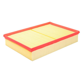Baldwin Filters® - Air Filter Element